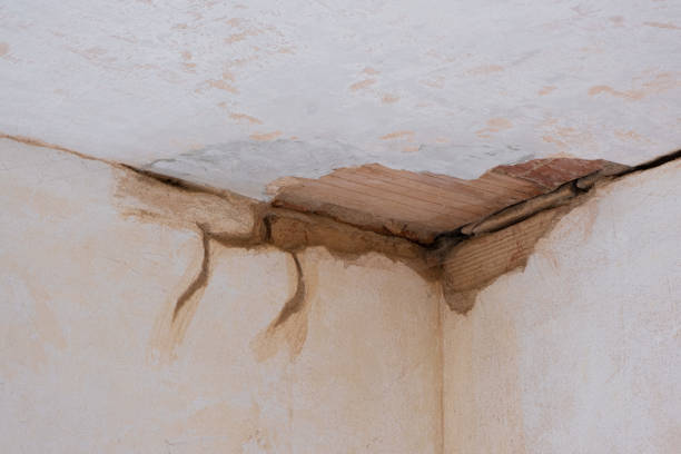 Best Carpet water damage restoration  in Hollymead, VA
