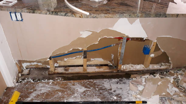 Best 24/7 water damage repair  in Hollymead, VA