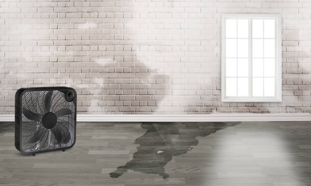 Best Commercial water damage restoration  in Hollymead, VA