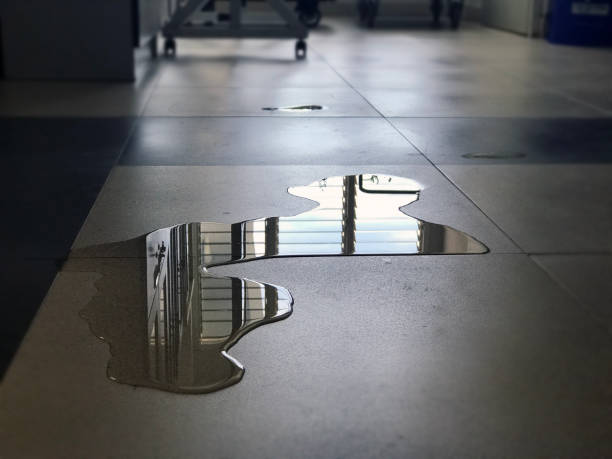 Best Commercial water damage restoration  in Hollymead, VA