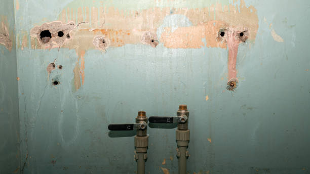 Best Sewage cleanup and water damage restoration  in Hollymead, VA